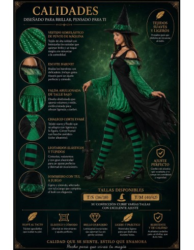 Déguisement Sorcière Verte Émeraude Neuf | Costumes pour Adultes Le Roi du Carnaval